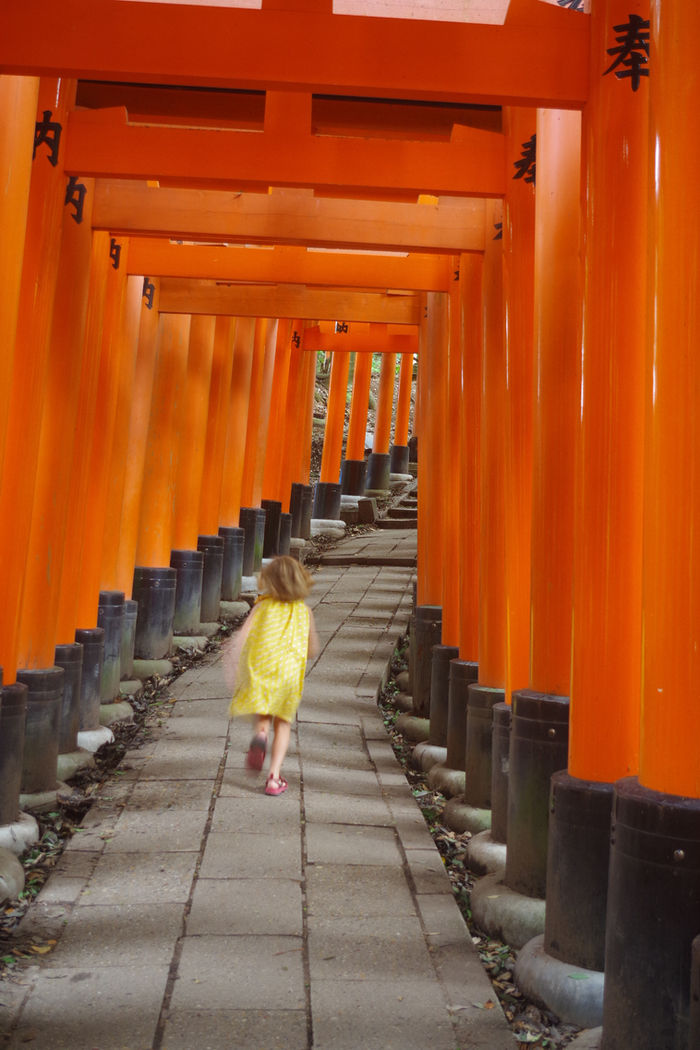 La colline aux trente mille tori, et ses petits renards de gardiens