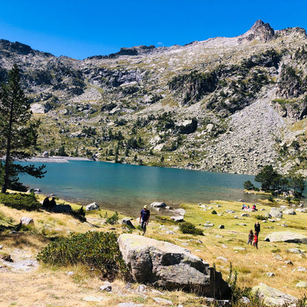 Dans la réserve du Néouvielle, les laquettes d'Aubert