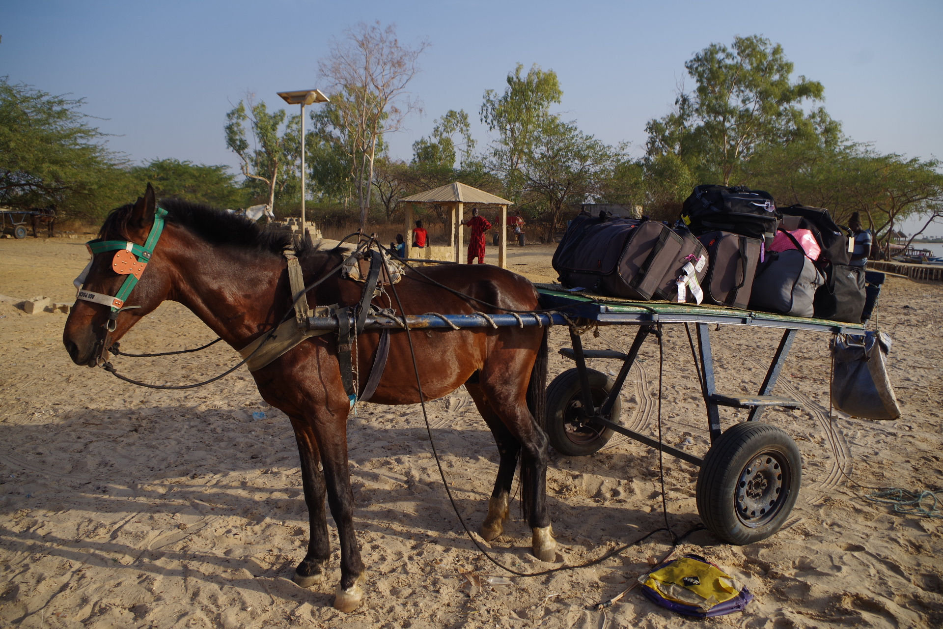 les bagages sur la charrette!