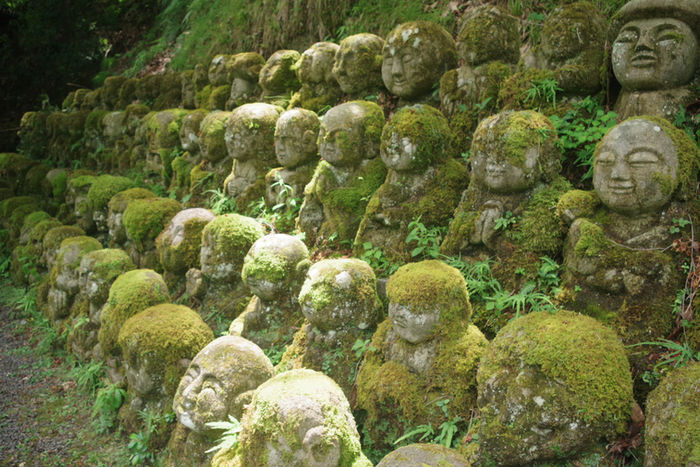 Pavillon d'Or et quartier d'Arashiyama, des trésors à l'ouest de Kyoto