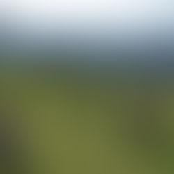 Domaine d'Abaddia, Ainhoa, Espelette, Sare : au coeur de la culture basque!