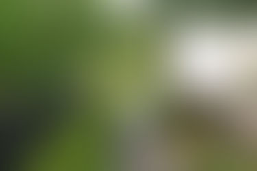 Kyoto : méditer sur le Chemin de la Philosophie!