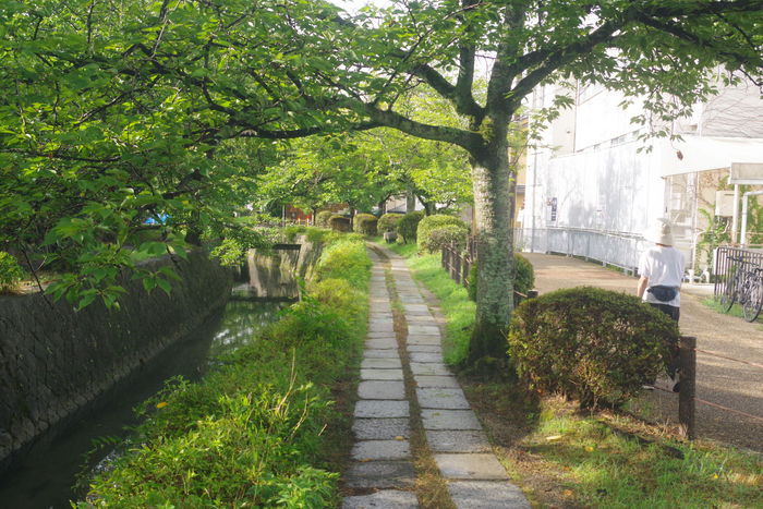 Kyoto : méditer sur le Chemin de la Philosophie!