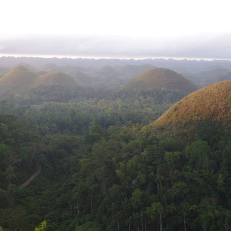 Ile de Bohol : collines de chocolat et rizières en terrasses