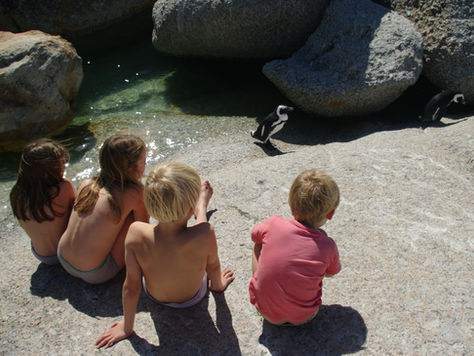 Kommetje, Boulders Beach, Cap de Bonne Espérance : la Péninsule du Cap nous sort le grand jeu!