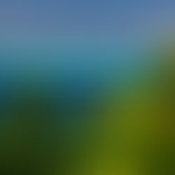 Huahine : un vrai coup de foudre !