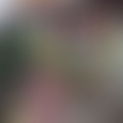 Madagascar : un doux dimanche à Tana