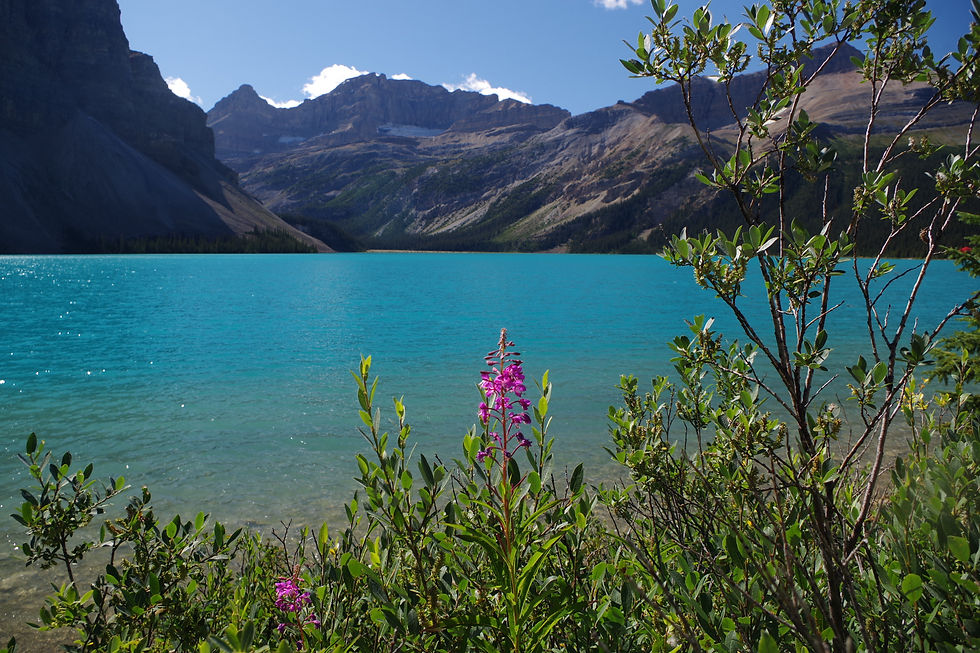 lac Bow