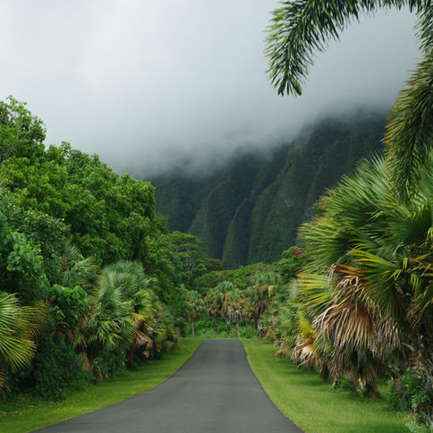 Aloha Hawaii!