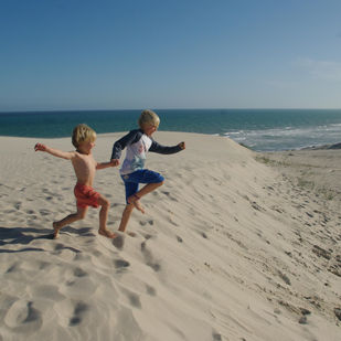 Afrique du Sud : Elim et de Hoope Nature Reserve, l'enchantement des dunes dans l'océan