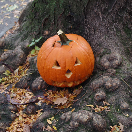 Halloween dans Brooklyn, street-art à Williamsburg et découverte du célèbre MoMA
