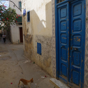 Un week-end à Tunis : des chats, des portes, et les lumières de la Méditerranée