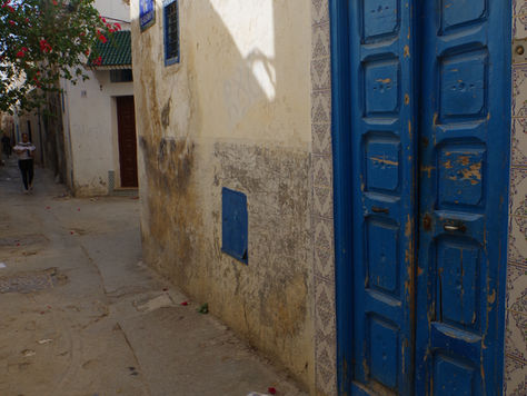 Un week-end à Tunis : des chats, des portes, et les lumières de la Méditerranée