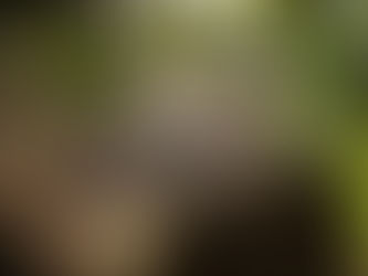 Aux portes du pays Bedik...