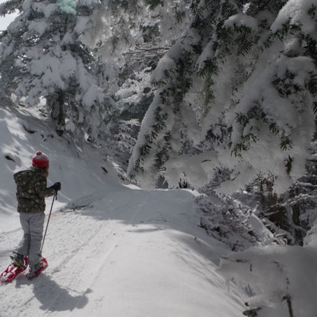En raquettes au col d'Aspin: merveilleuses neiges de printemps