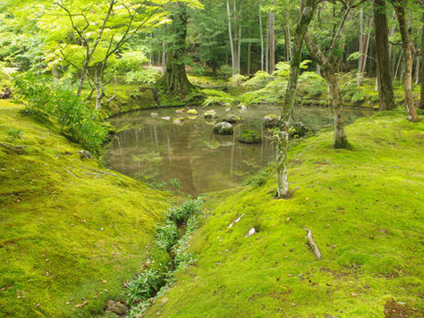 Kyoto, le Temple des Mousses : calligraphie et promenade enchantée