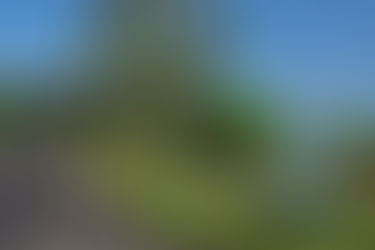 Bora vue depuis la terre : rando et vélo!