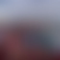 Ode à Marcelle et Philippo : le bonheur à la ferme des oliviers