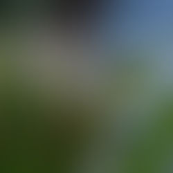 Toujours en catamaran : les trésors de Tahaa