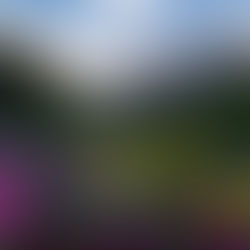 Une fête des mères face à Gavarnie