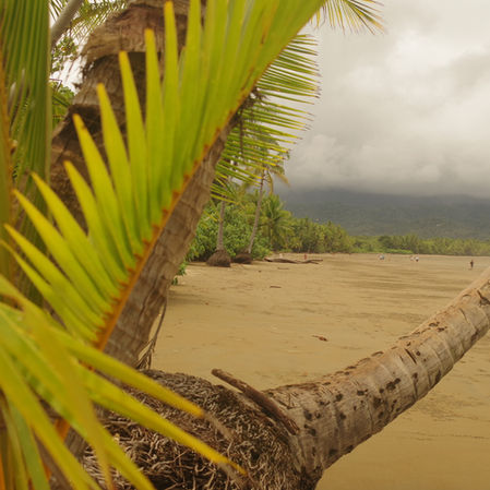 Marino Ballena : plages sauvages du Pacifique