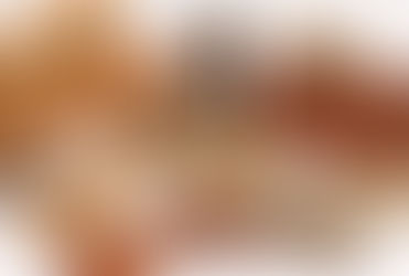 The Different Types of Bricks and Their Uses