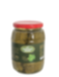 Vine Leaves 1070.png