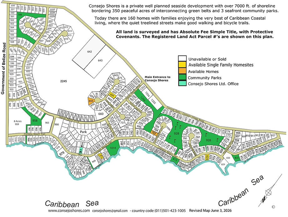 Consejo Shores Development and Parcel map - Updated-June 3-1.jpg