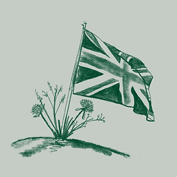 Untitled design-304.png
