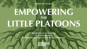 Empowering the little platoons