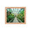 Thumbnail: Orchid Tunnel - 8x10 Framed Print