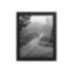 Thumbnail: Morning Walk - 8x10 Framed Print