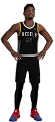 Rogue One - Rebe.png