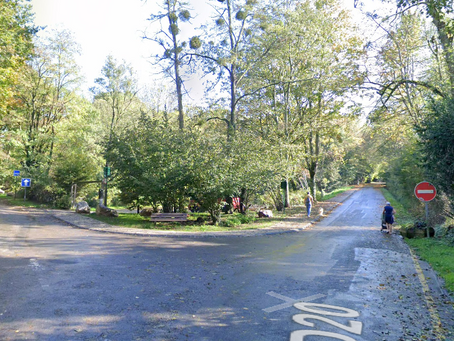 Un pequeño paso de viajero El Viaje Compartido