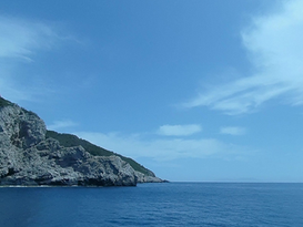 Vivé con la maravillosa vida