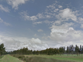 El piano no miente es hermosa la música mi amada