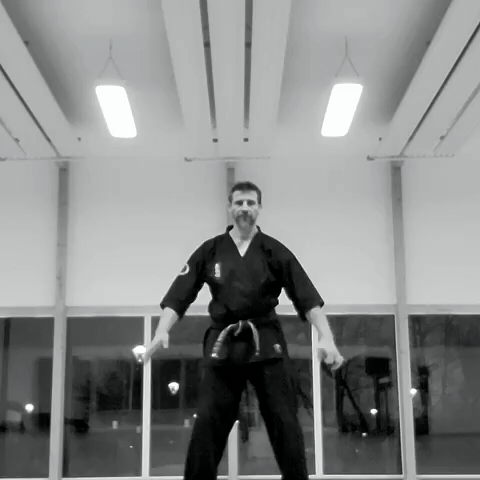 kata_fluide.gif