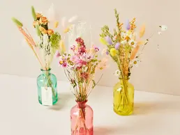 Drei Blumensträusse mit Trockenblumen, in kleinen farbigen Gläsern