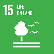 Sustainable Development 15