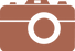 Camera Vector_terra cotta.png