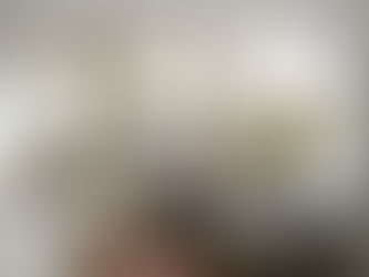 How Much Does a Kitchen Remodel Cost in Howard County, Maryland?