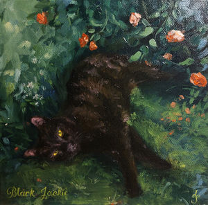 Black Cat