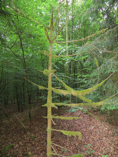 Bild2  08.JPG