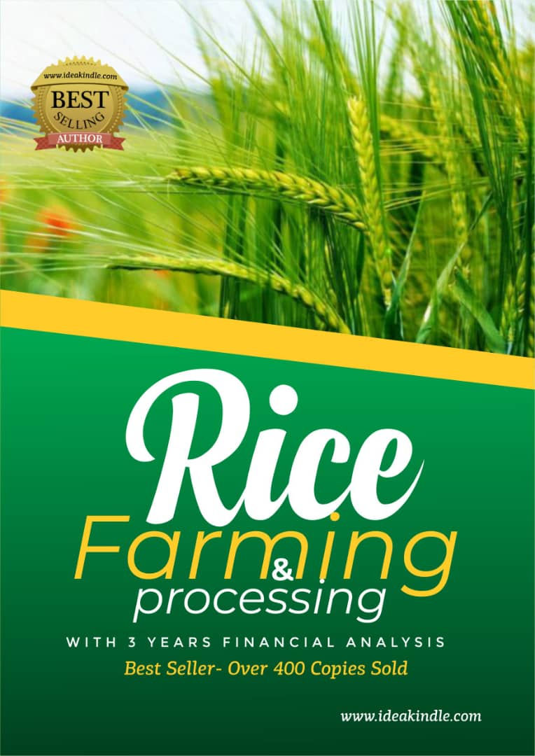 Rice Farming & Processing Business Plan