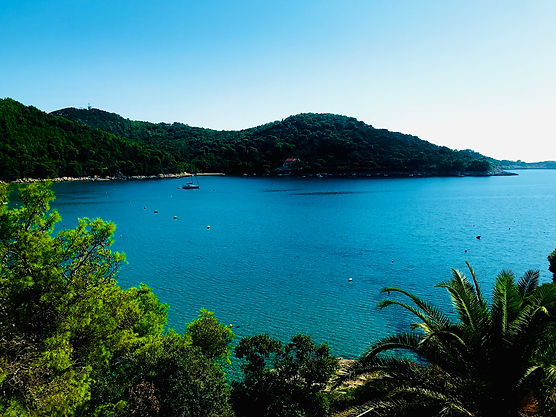 View from Villa Kralj Mljet Saplunara, Island of Mljet, Croatia