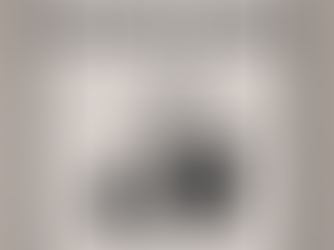 IVS Cleaning staff with equipment, ready to serve homes in Maidstone and Gillingham