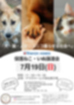 YAMADA HOMES 保護ねこ・いぬ譲渡会