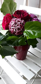 un bouquet de fleurs