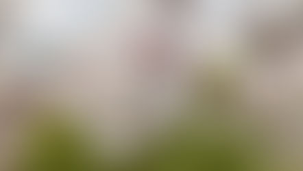 4月の休診案内【2/27更新】