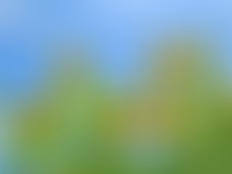 7月の休診案内